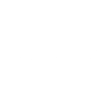 logo x torres white